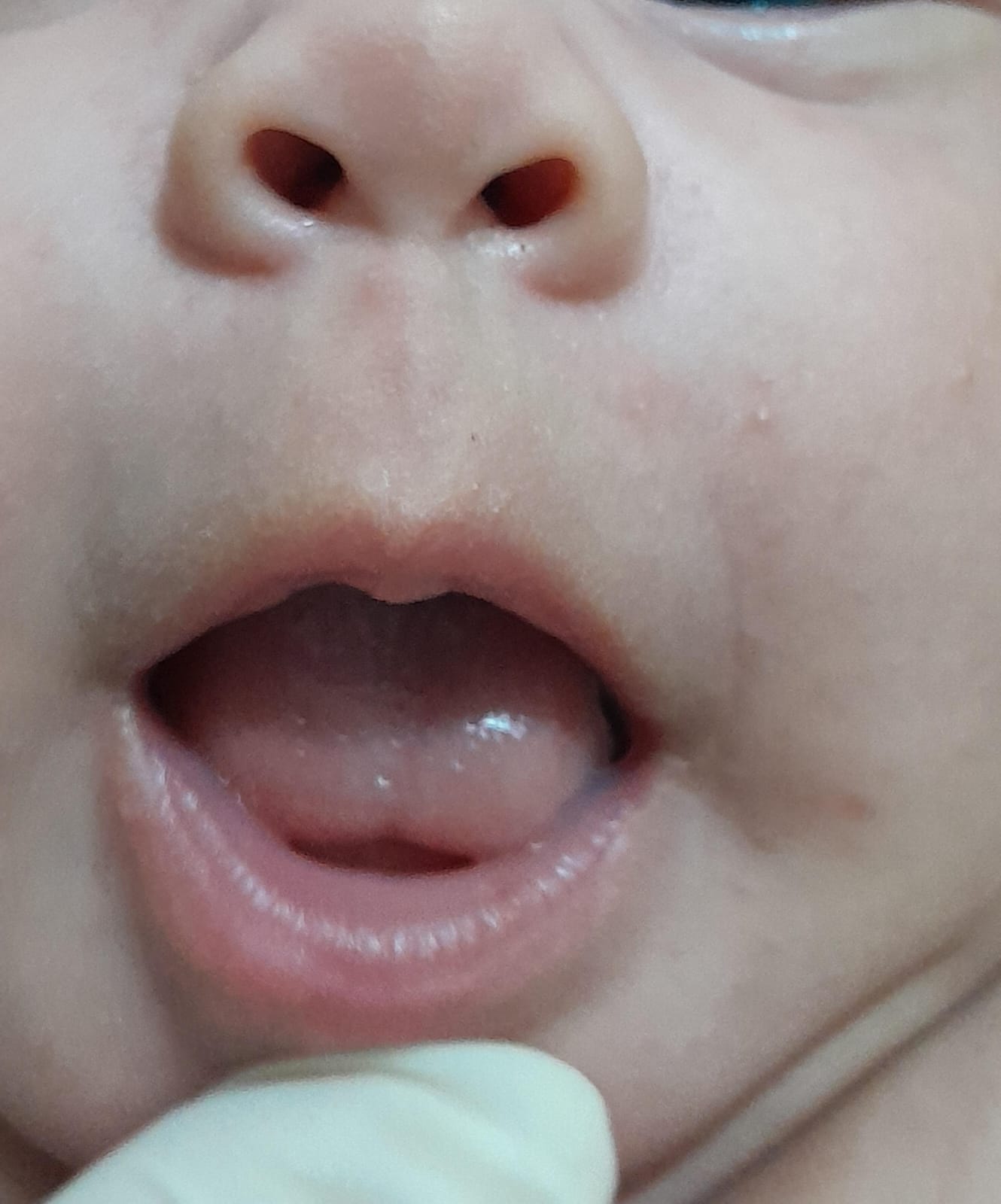 Galeria Amamentora 10